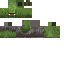 Zombie Villager