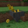 Coins