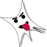 SparkLie