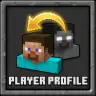 PlayerProfile