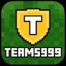 Teams999