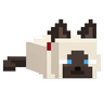 Catsnip