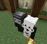 Block to head