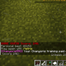Chanyoris MMO