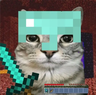Nexus NPC'S